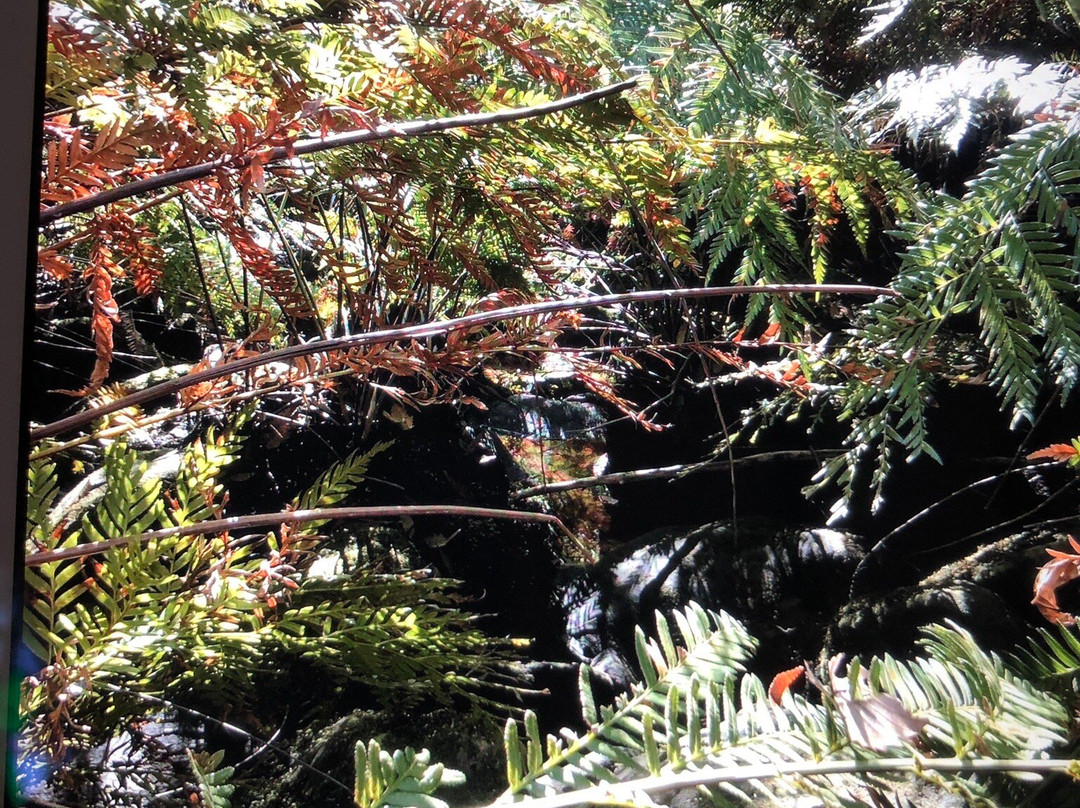 Edith Falls Woodford Nsw-Woodford必去景点