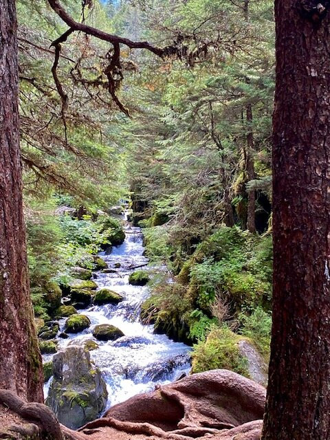 Virgin Creek Falls Trail景点图片