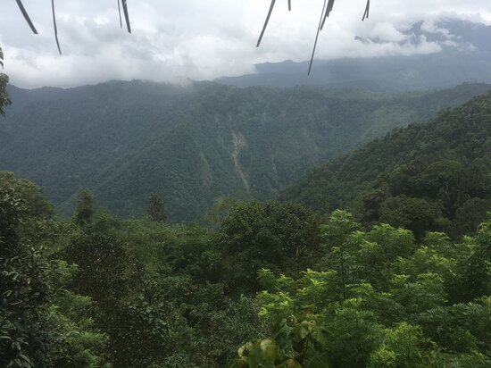 Aranyakam Homestay-酒店景观
