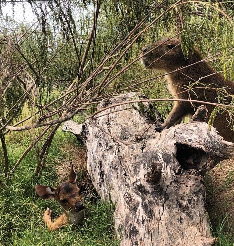 La India - Somos Naturaleza-Florida必去景点