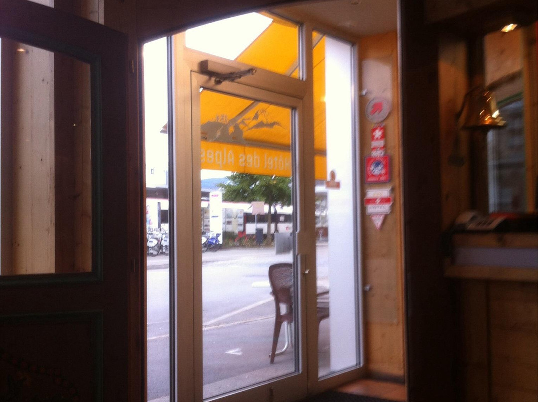 Hotel des Alpes主图