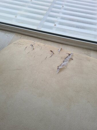 酒庄精品酒店主图