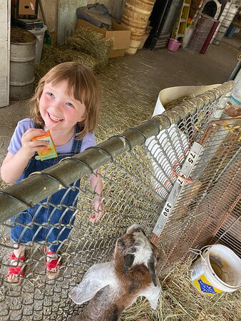 Wellsmere Farm-Wells必去景点