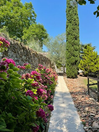 Les Sources de Coulon主图