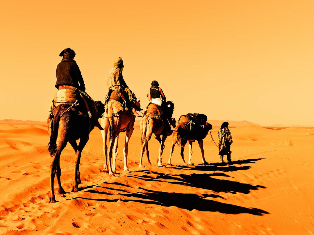 Trekking In Morocco-马拉喀什必去景点