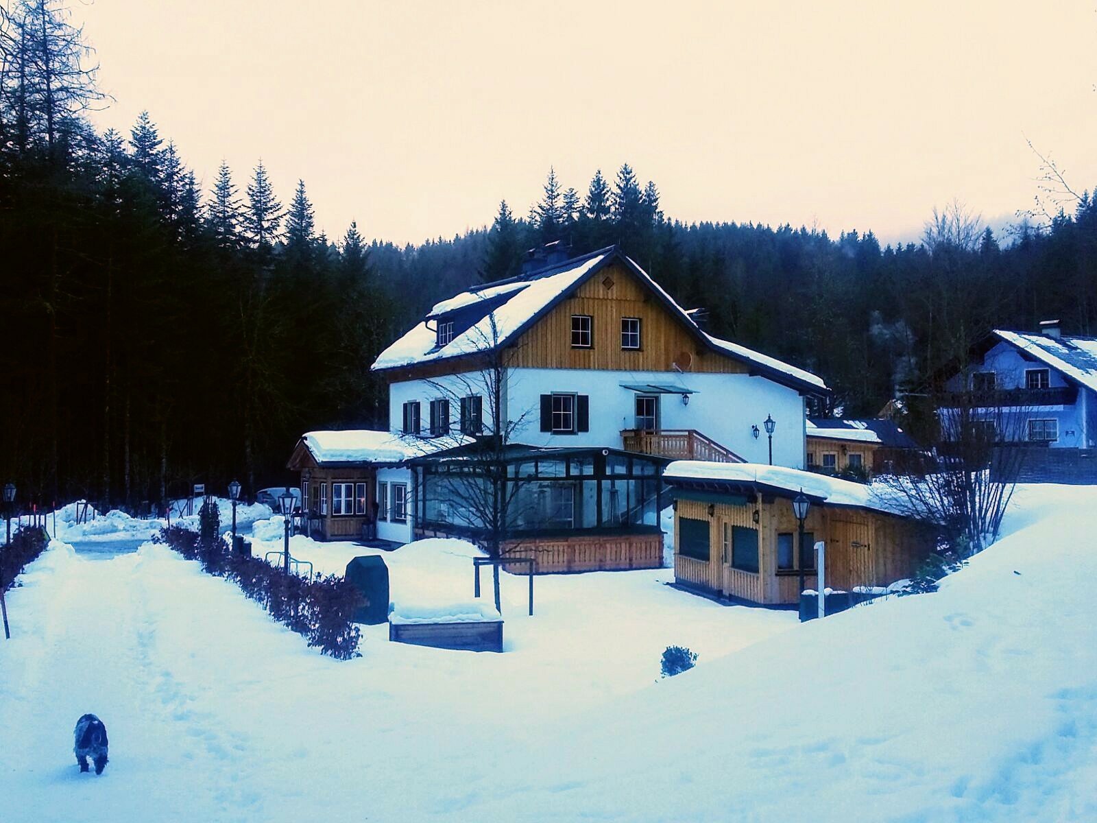 Waldruhe-官方