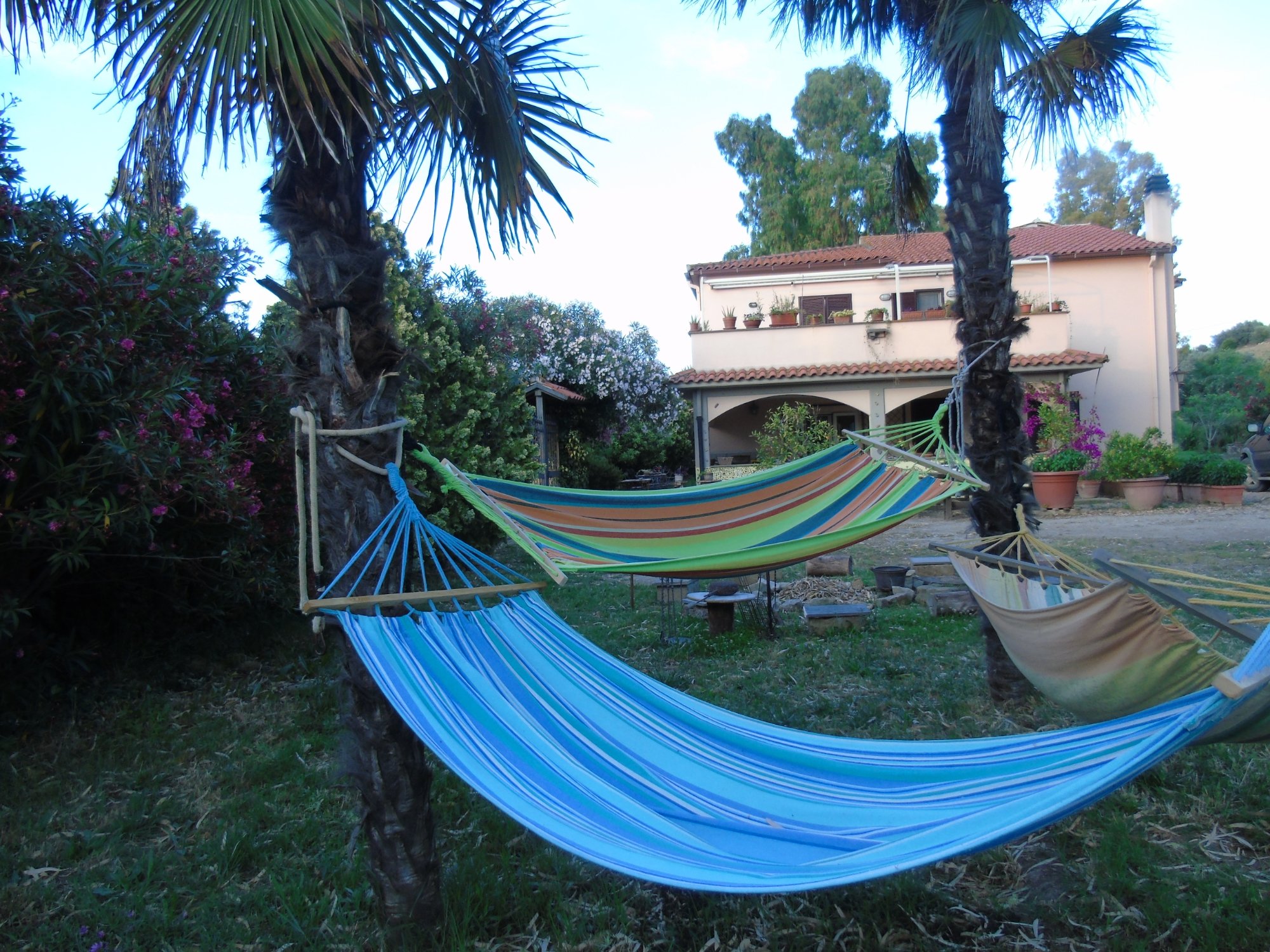 B&B L'Albero della Vita-官方