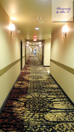 Teddy's Residential Suites主图