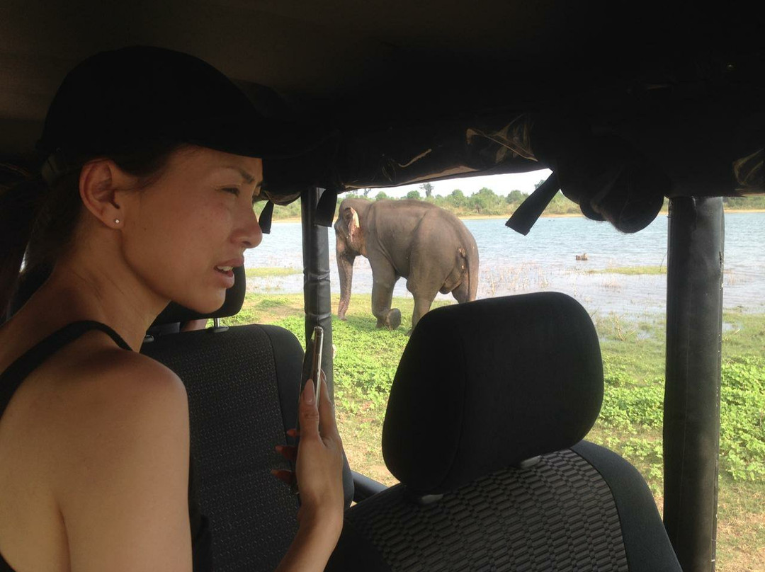 Lakpura LLC-Minneriya必去景点