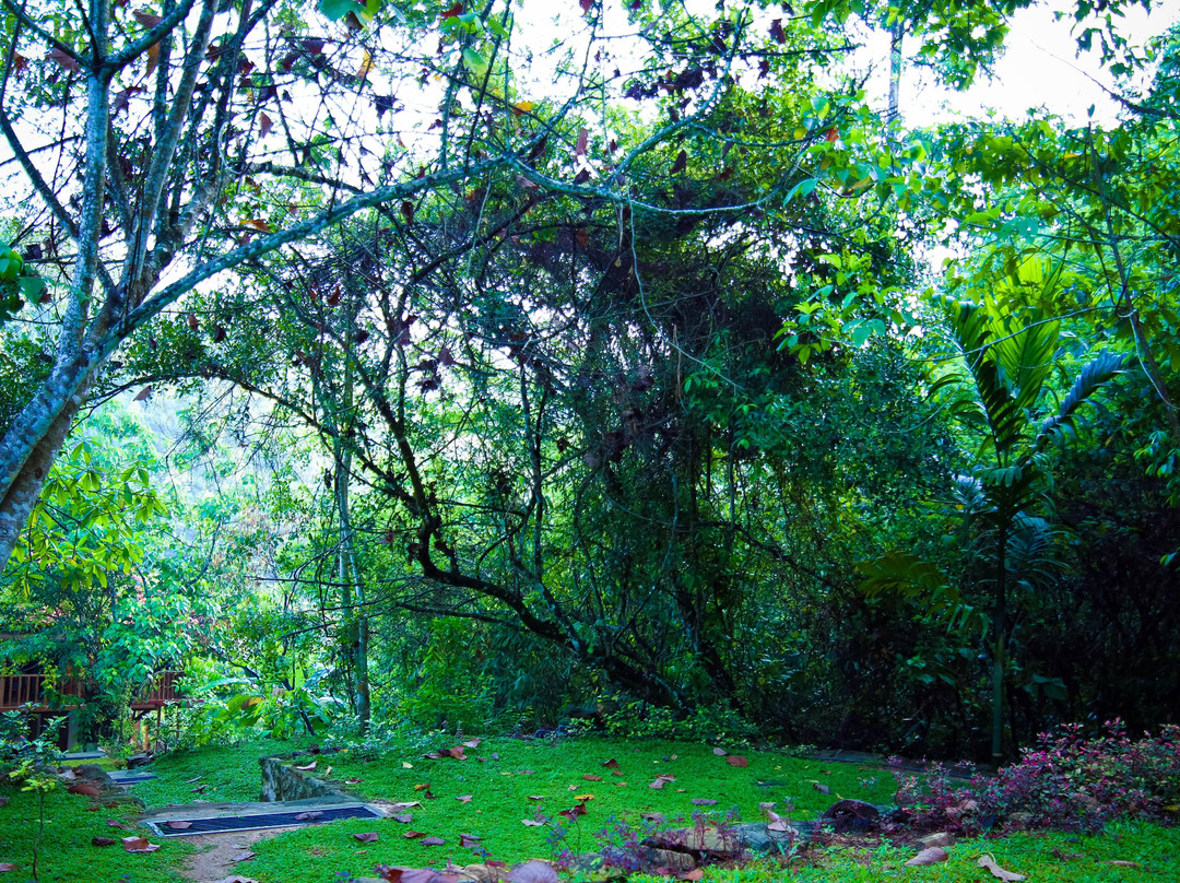 Wanakaset Sri Lanka-Kitulgala必去景点