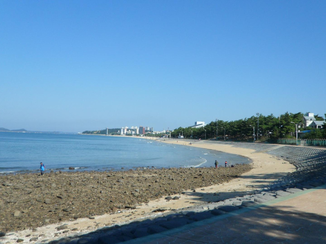 Dacheon Beach景点图片