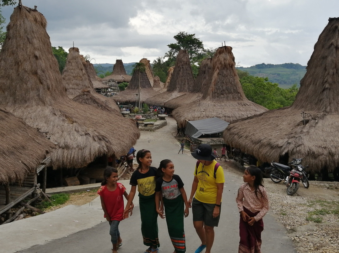 Chacha Tours & Travel-日惹必去景点