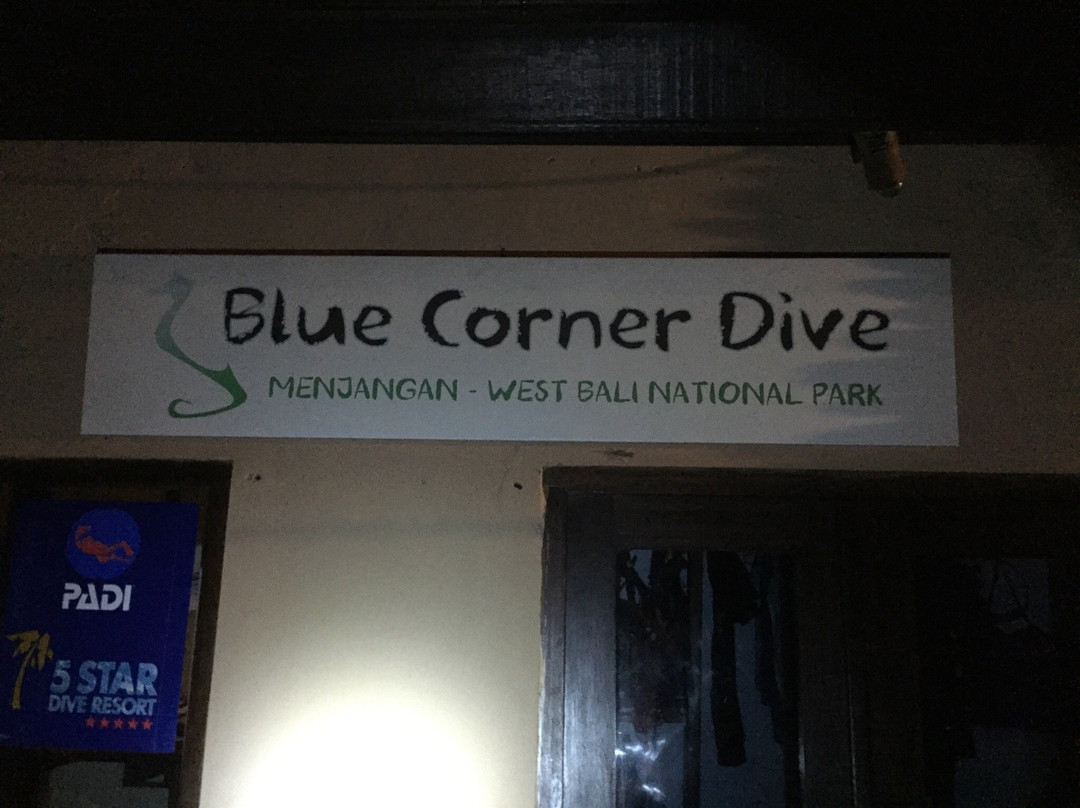 Blue Corner Dive Menjangan景点图片