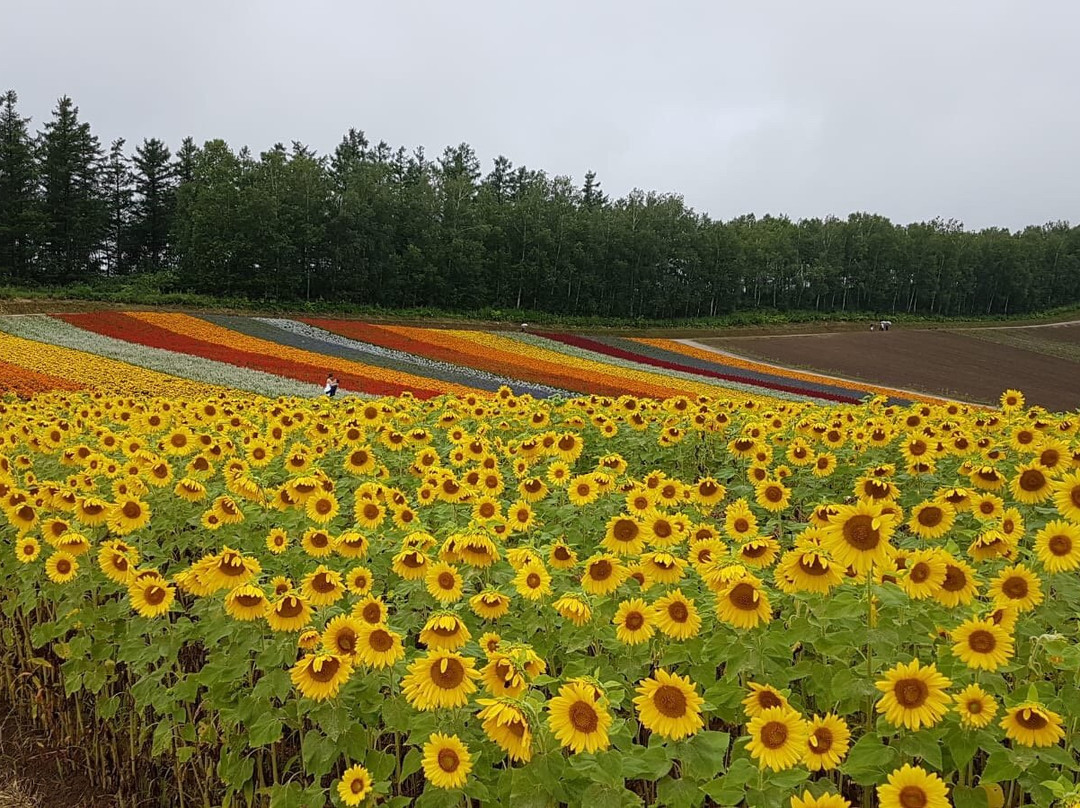 Yoshida Tomita Farm-秩父市必去景点