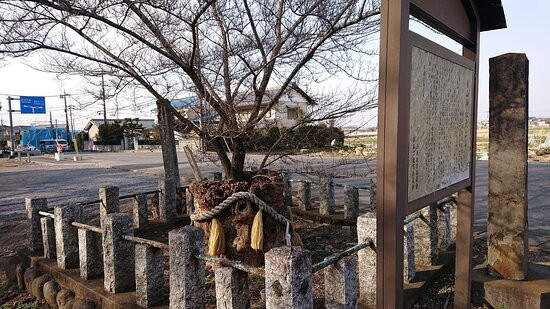 Nireyama Shrine-深谷市必去景点