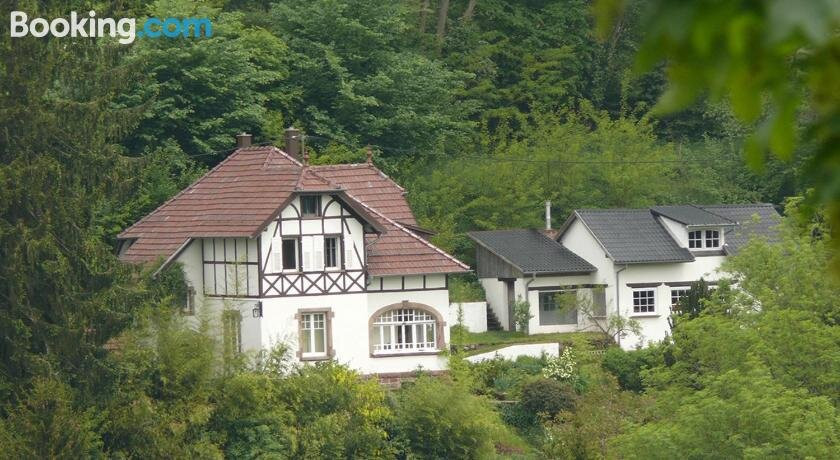 La Villa des Oiseaux - La Petite Pierre主图