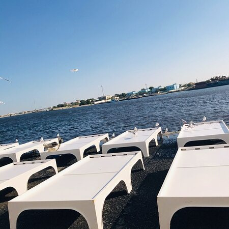 Ajman Fish Market-阿治曼必去景点