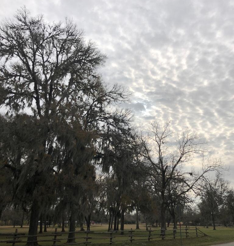 Stephen F. Austin State Park景点图片