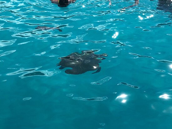 Action Charters-Maxwell必去景点