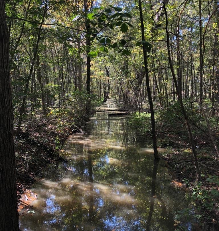 Huntley Meadows Park景点图片