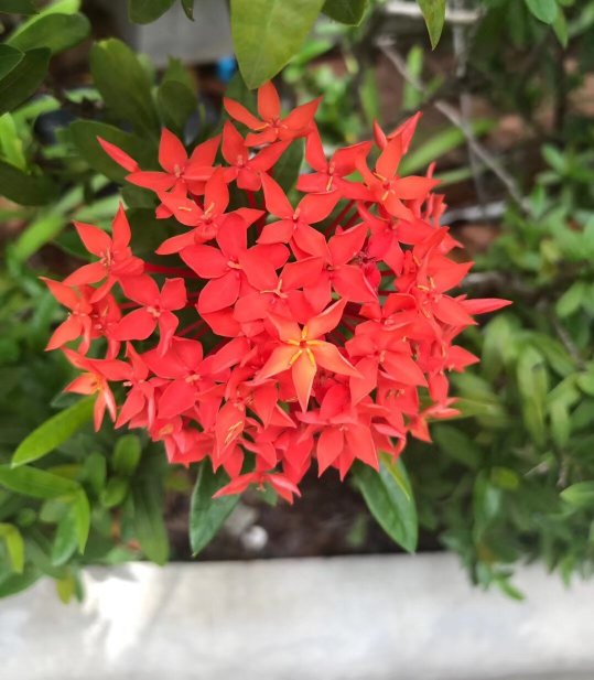 Phuket Cleanse-浴室