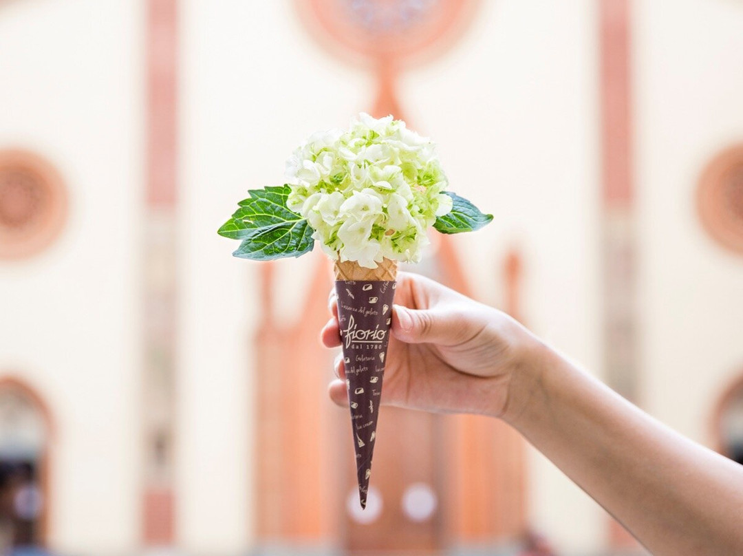 Fiorio Pinerolo 1780主图