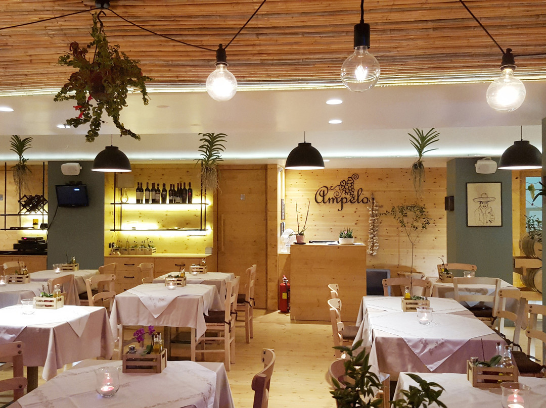 Ampelos Traditional Grill House