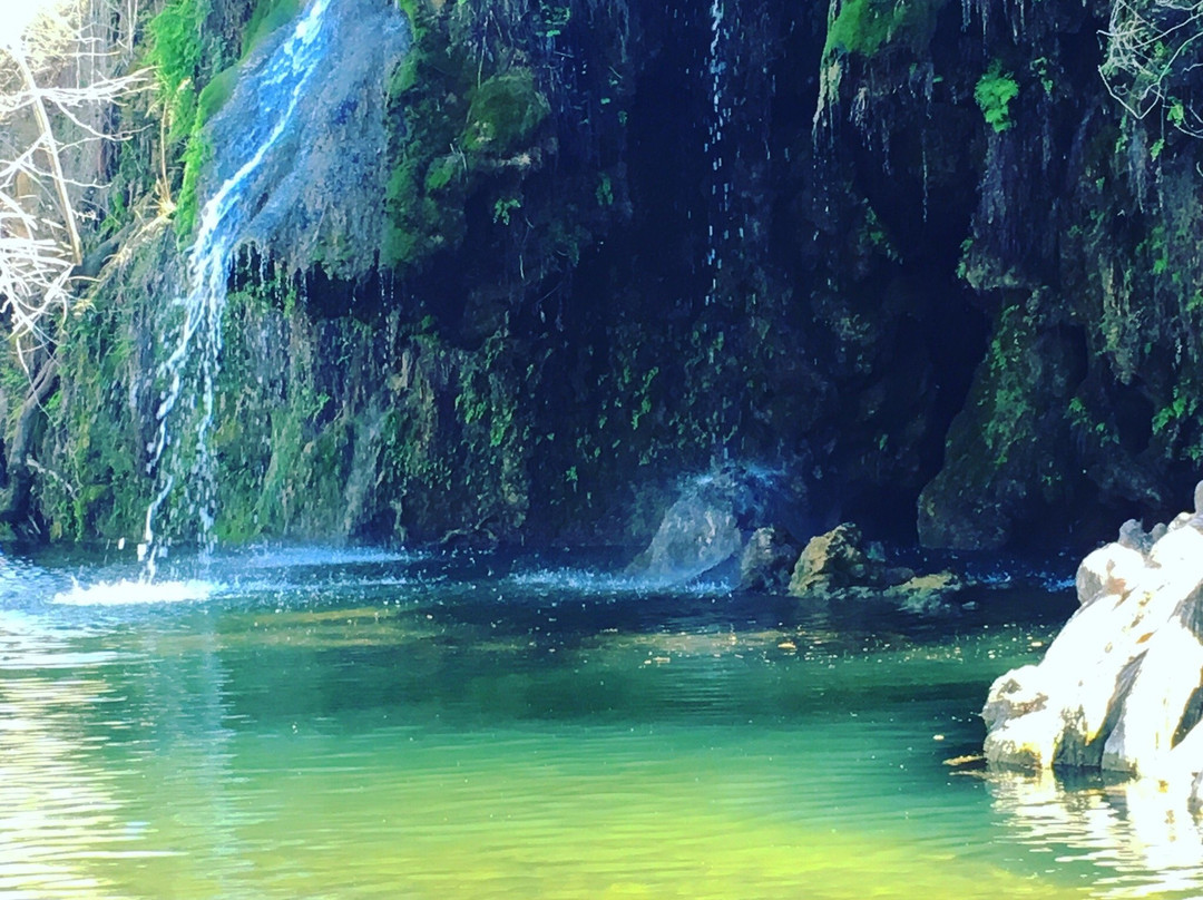 Spicewood旅游攻略图片