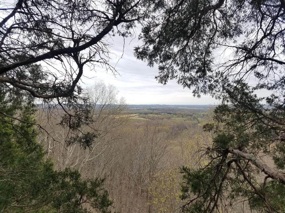 Stoneface Research Natural Area