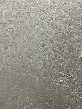 Travelodge by Wyndham Aberdeen主图