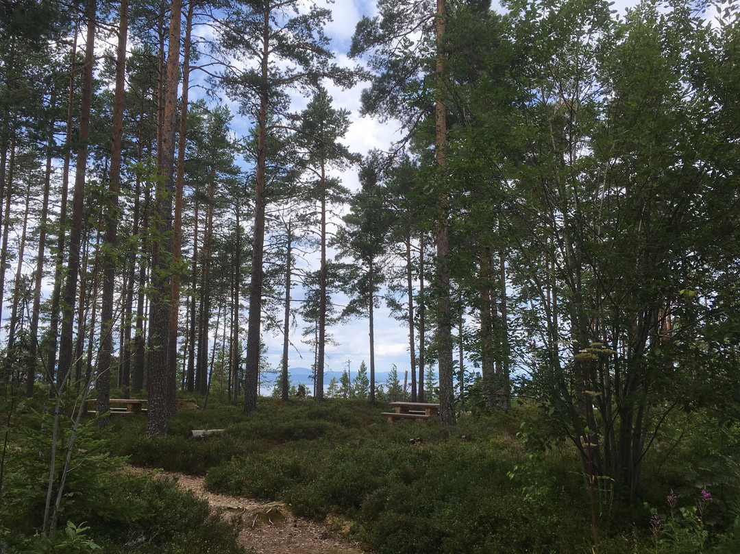 Naturum Dalarna-Siljansnas必去景点