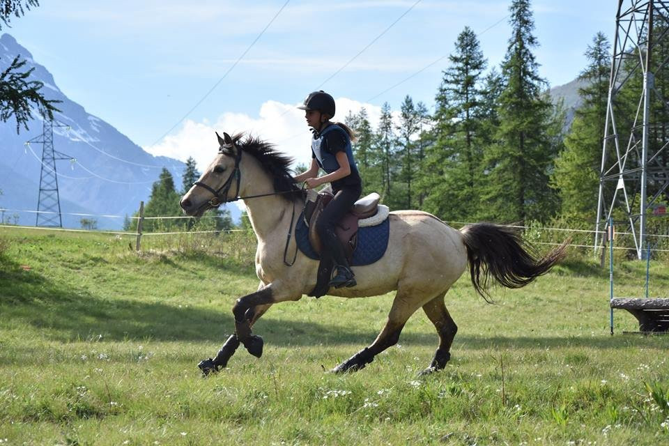 Serre Chevalier Equitation-La Salle les Alpes必去景点