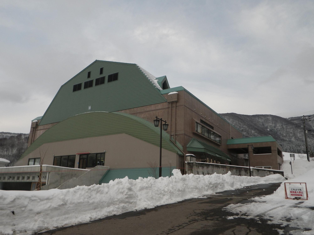 Nozawa Onsen Spa Arena-野泽温泉村必去景点