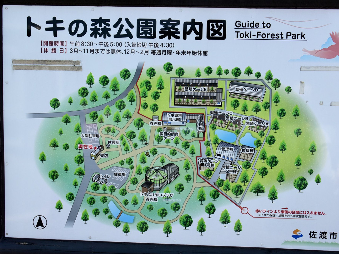 Toki no Mori Park景点图片