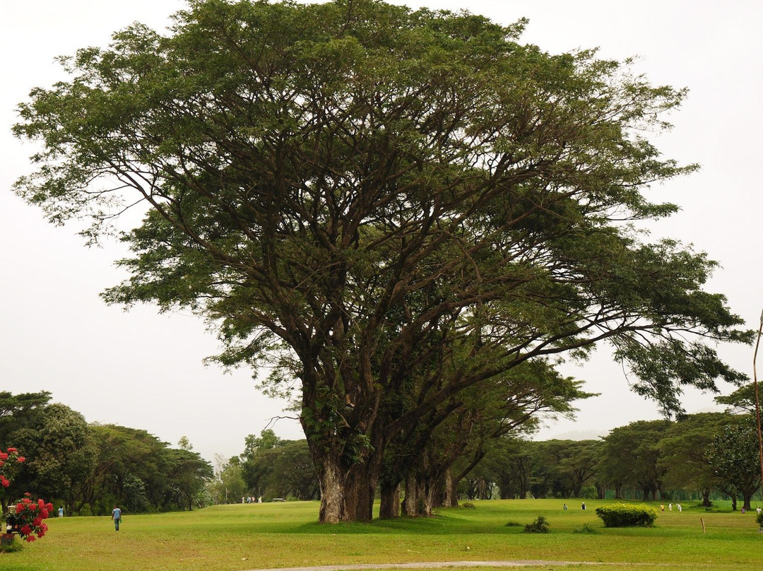Leyte Golf and Country Club景点图片