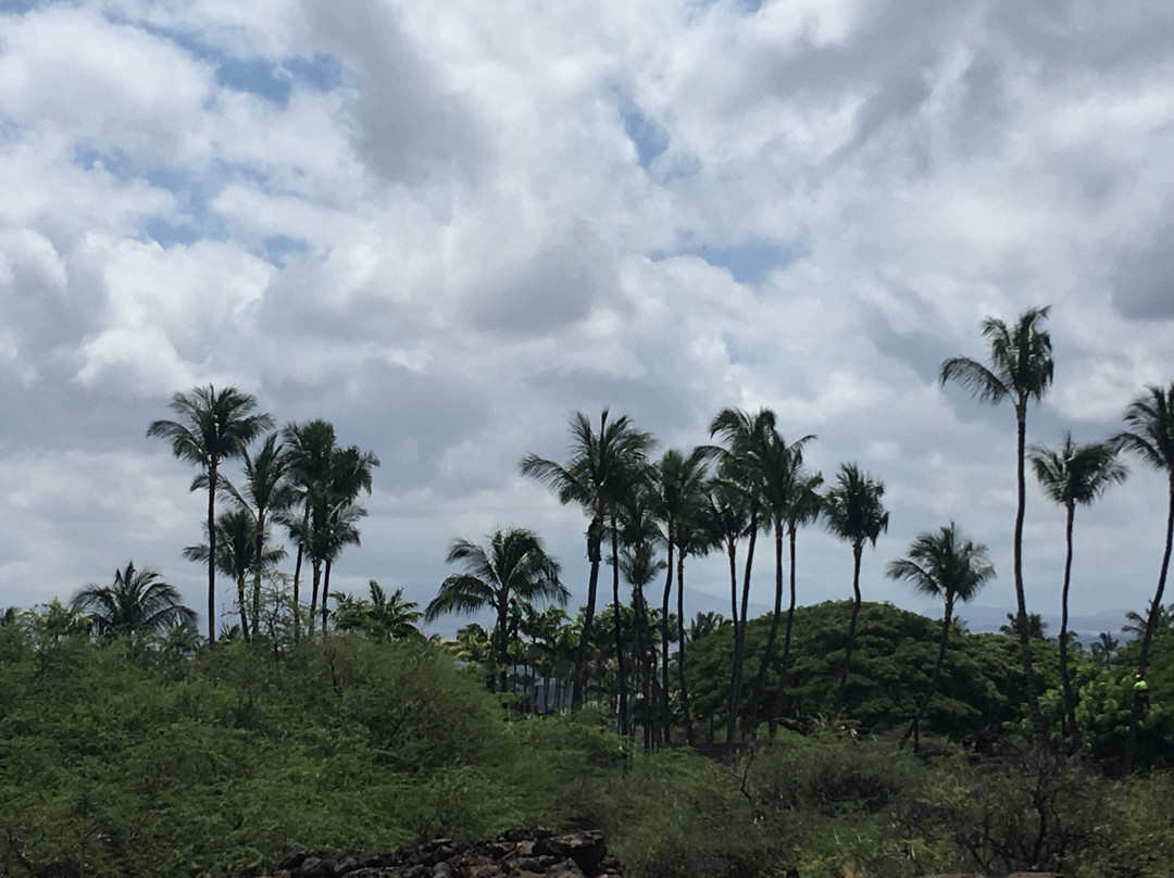 Kalahuipua'a Historic Park