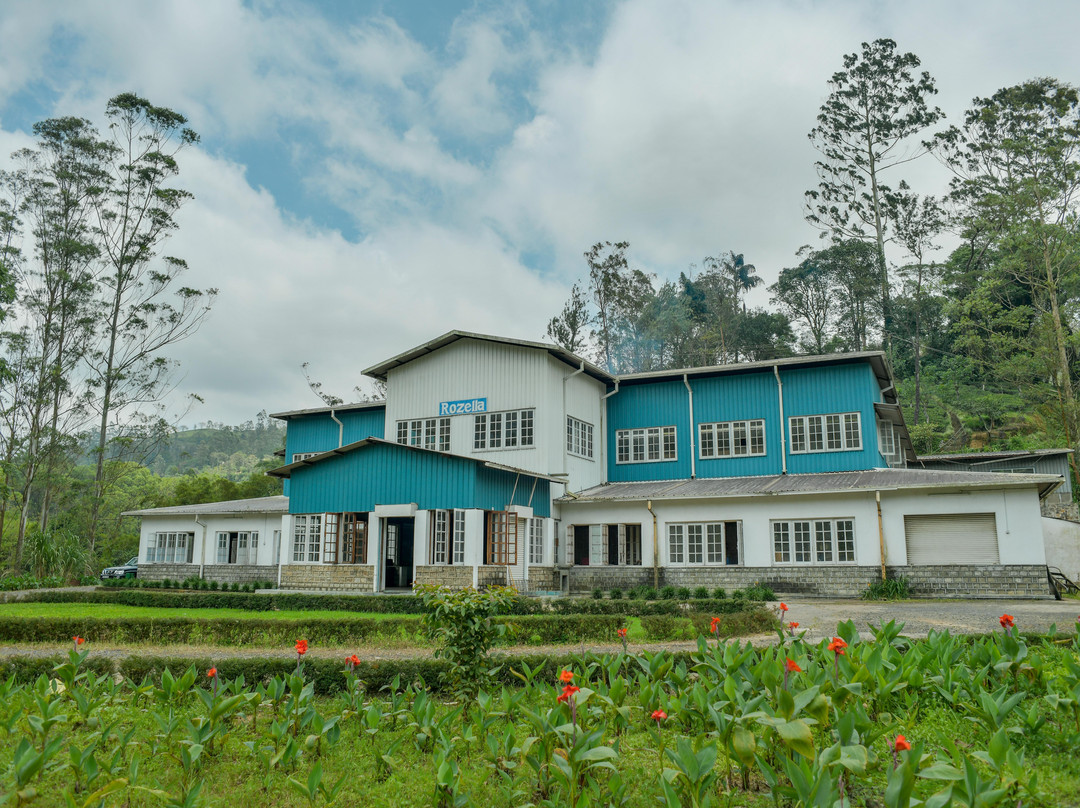 Rozella Tea Factory
