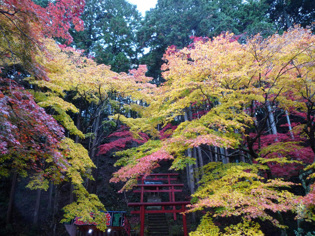 Dokoji Temple景点图片