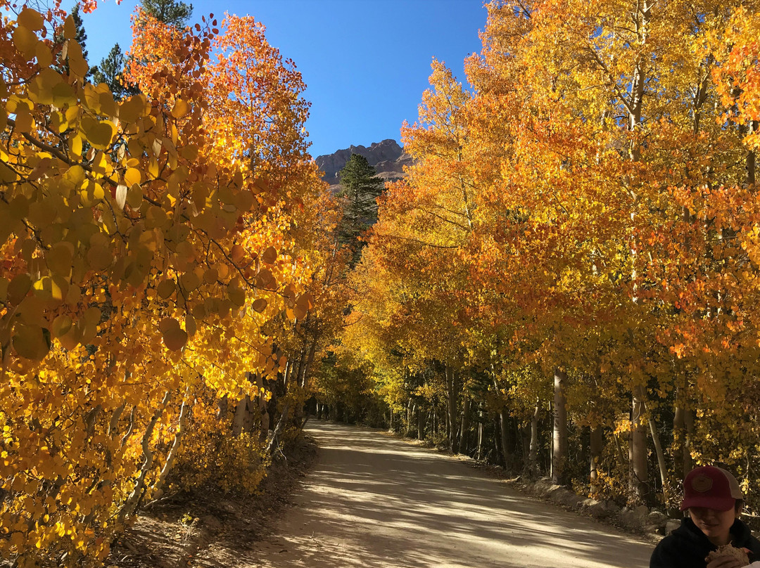 North Lake Campground