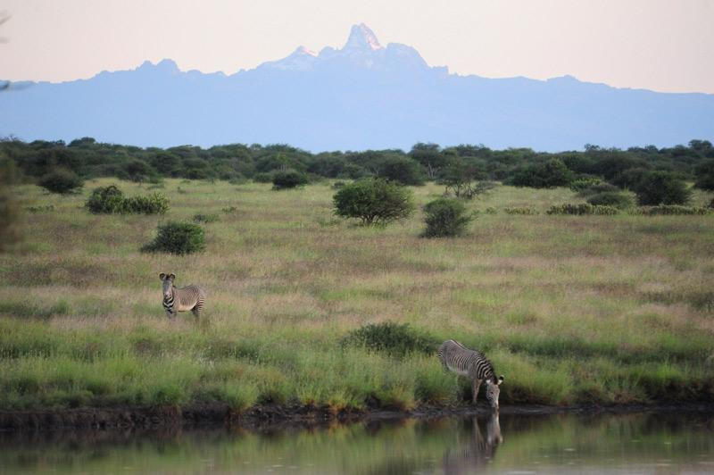 Karisia Walking Safaris