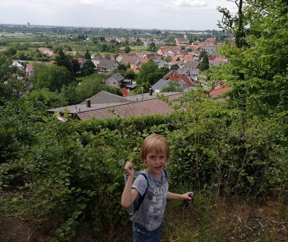 Schloss Ortenberg-Ortenberg必去景点