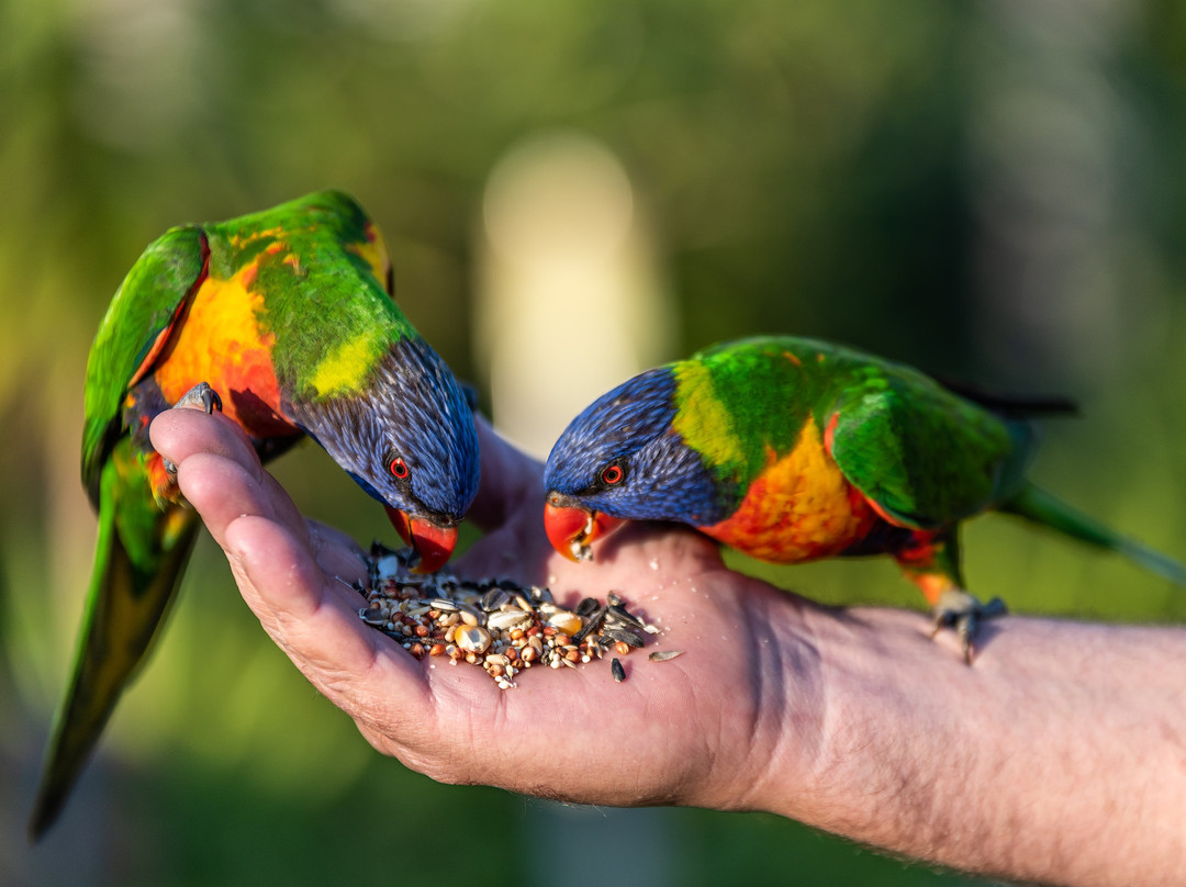 Brisbane Valley Rail Trail Motel主图