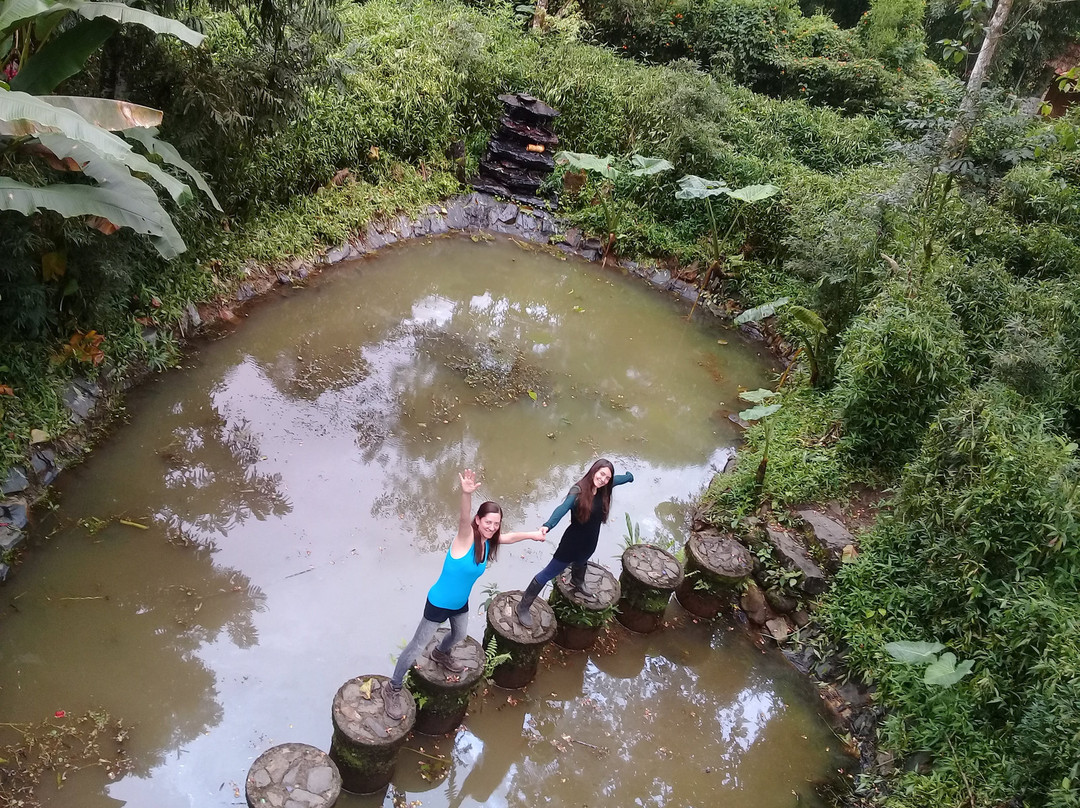 Laberinto de Bambu-明多必去景点