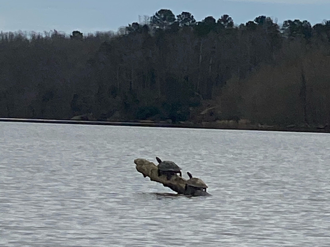 Haw River Canoe & Kayak-Saxapahaw必去景点