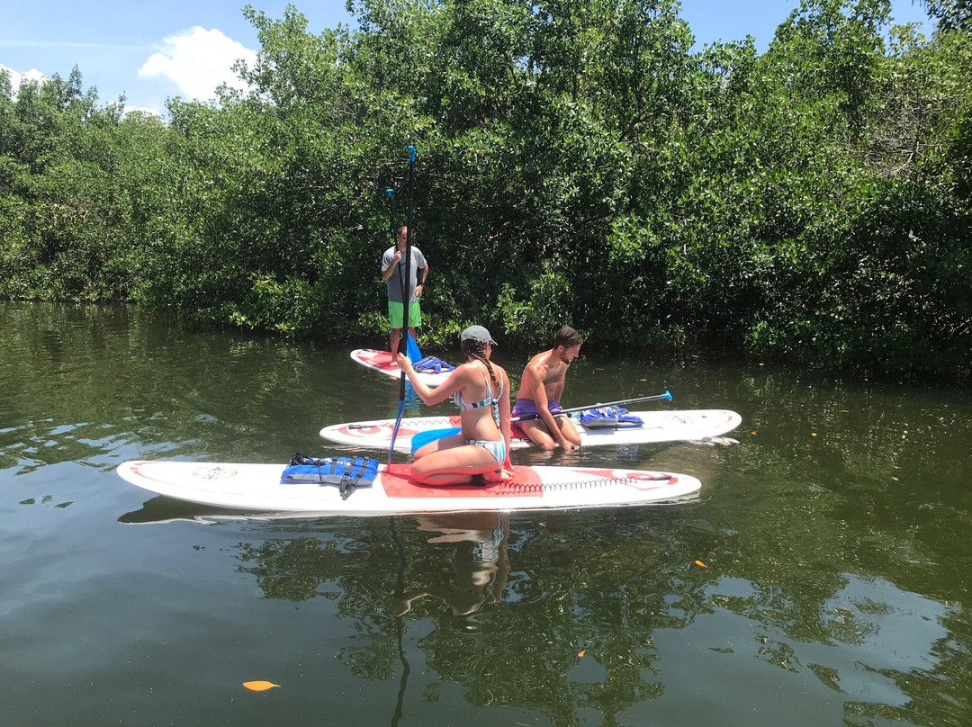 Paddleboard Adventures-Boca Grande必去景点