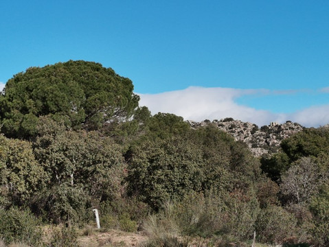Monte Cuesta Blanca-Galapagar必去景点