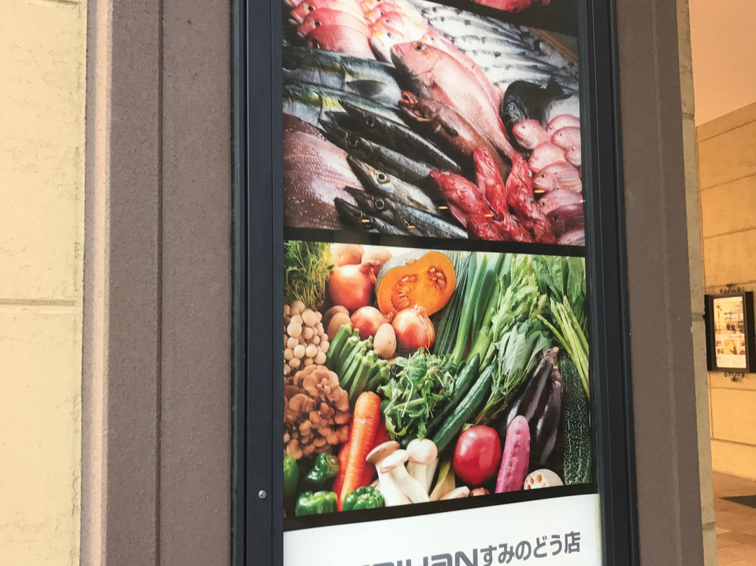 Keihan Department Store Suminodo-大东市必去景点