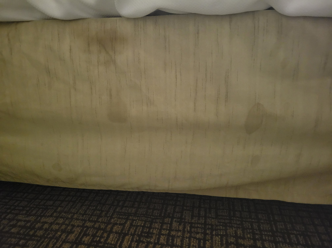 Comfort Suites At Virginia Center Commons主图