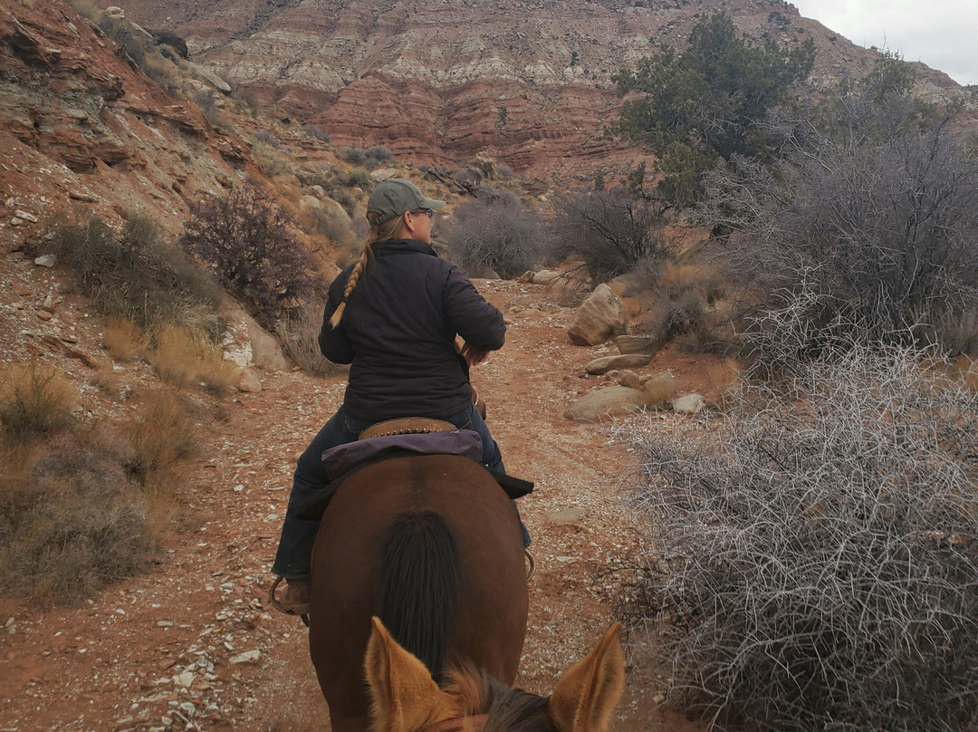 Shelleys Custom Horse Tours-Virgin必去景点