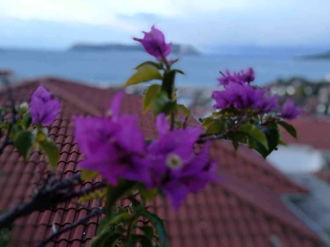 Adalya Diving Center-卡斯必去景点